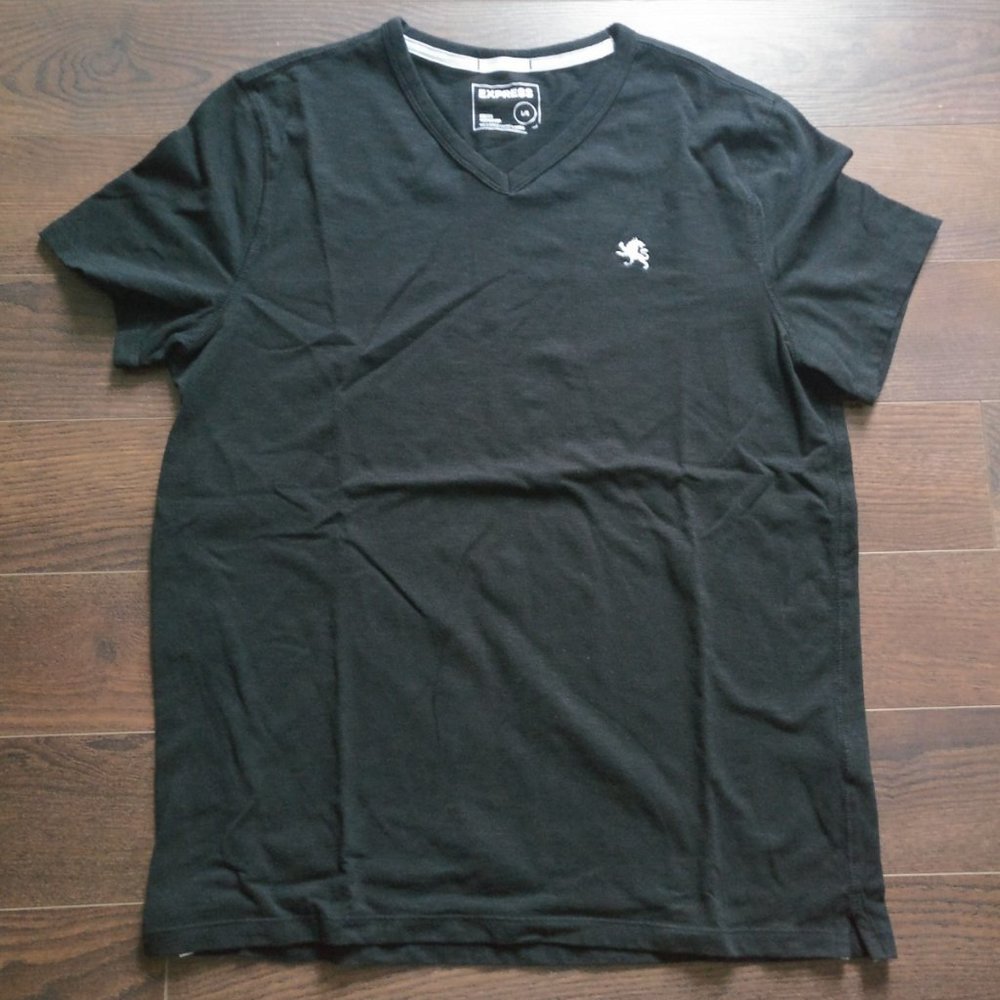 Express V-Neck T-Shirt - LG